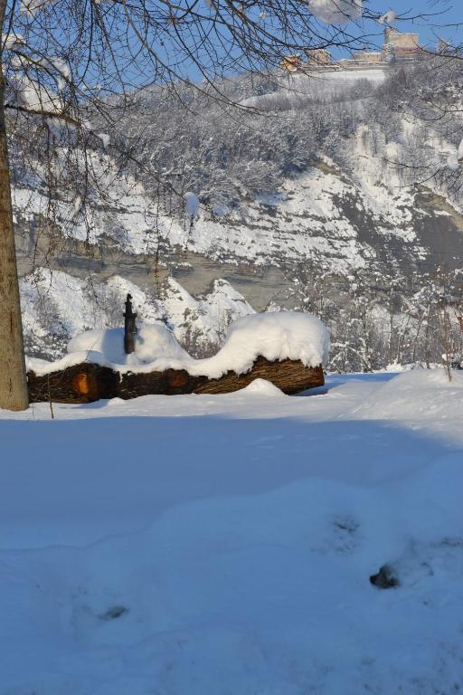 Niella Tanaro Trattoria Vecchio Mulino Bed & Breakfast エクステリア 写真